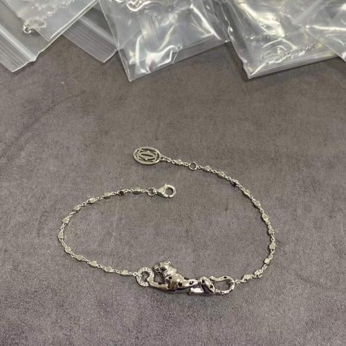 اسورة كارتييه مع الملحقات