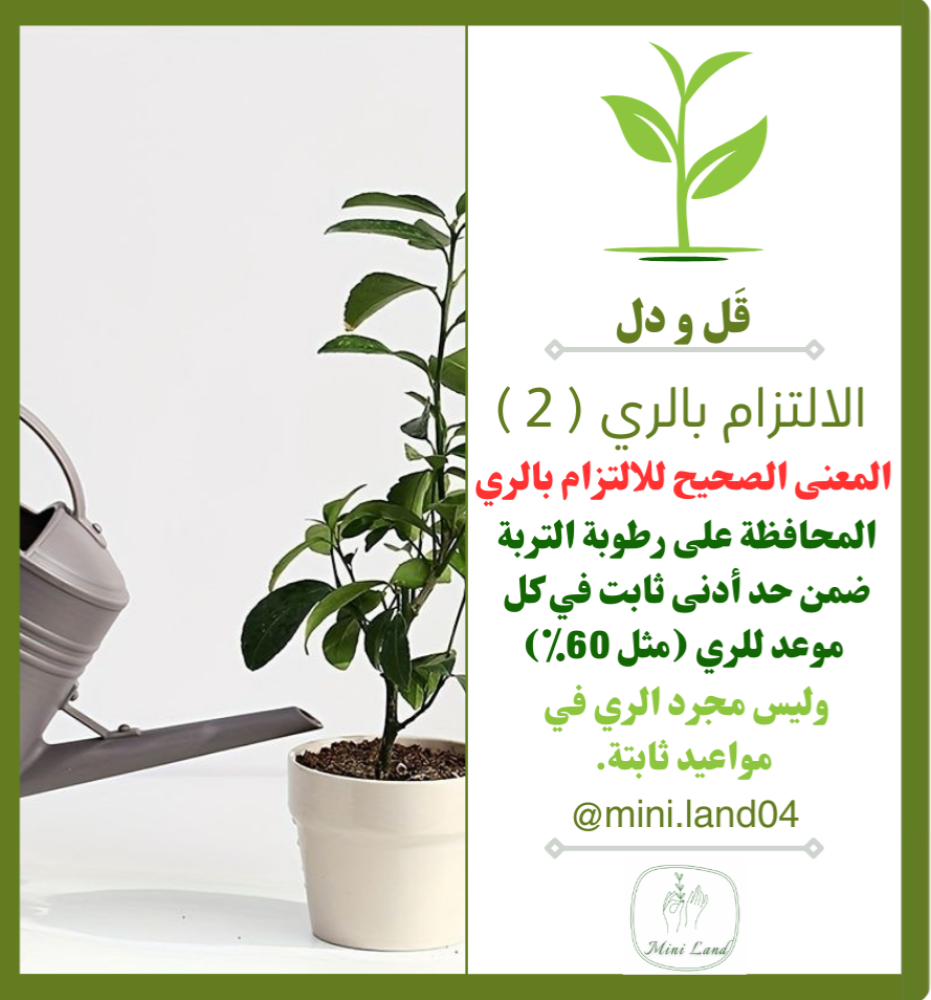 الالتزام بالري