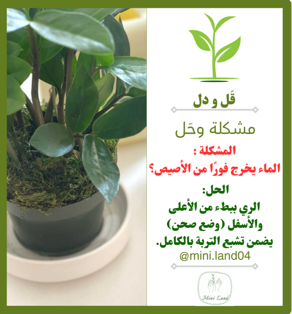 خروج الماء بسرعة من الاصيص
