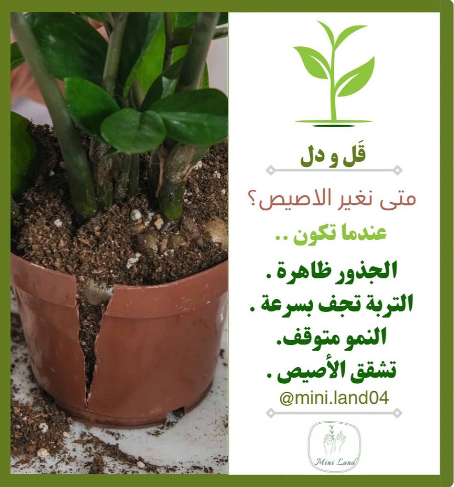 تغيير الأصيص