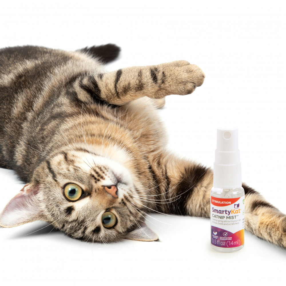 smartykat catnip mist