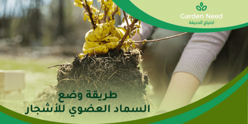 طريقة وضع السماد العضوي للاشجار