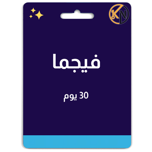 فيجما برو – اشتراك لمدة 6 أشهر