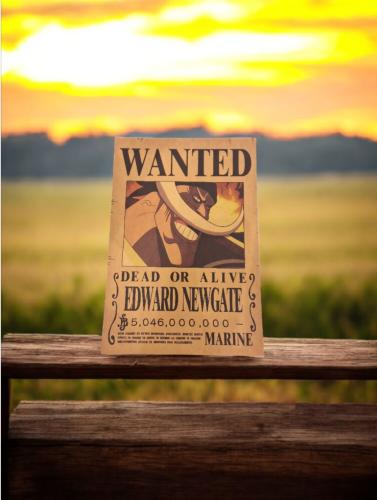 بوسترات مطلوب ون بيس