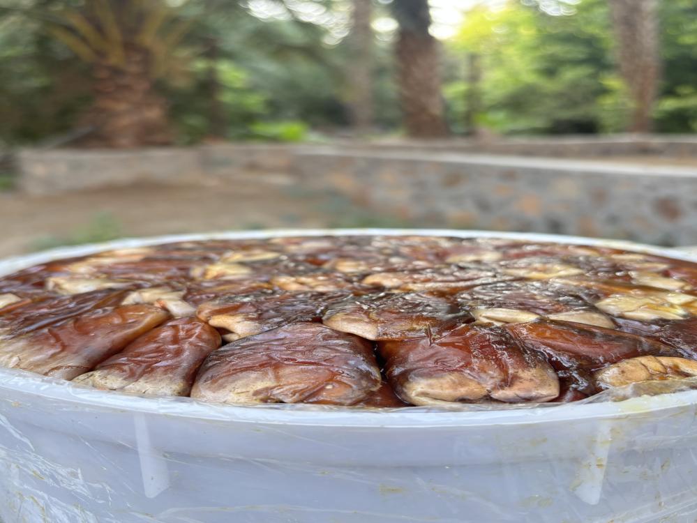 برني العيص مكنوز رقم2 - 5k