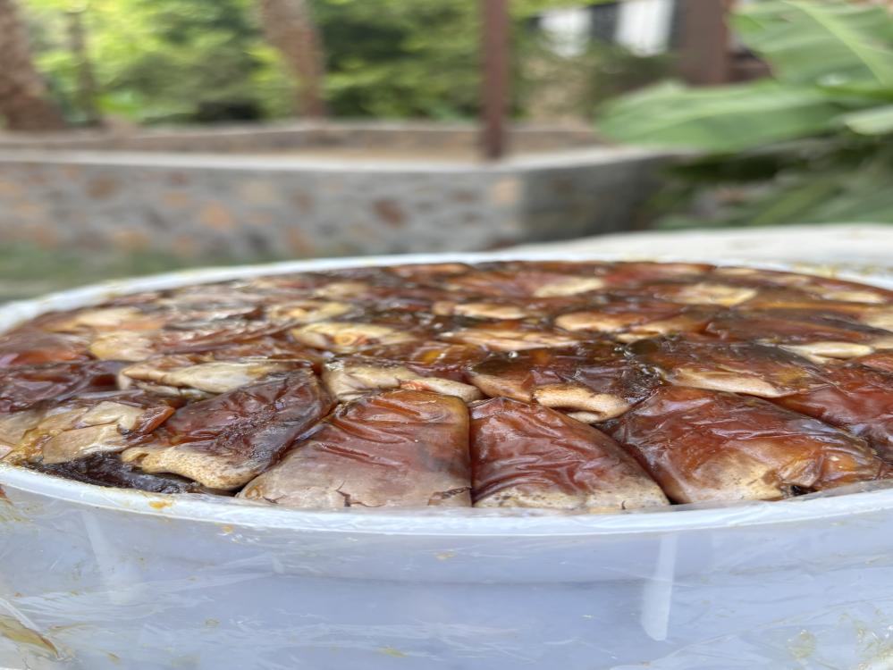 برني العيص مكنوز رقم2 - 5k