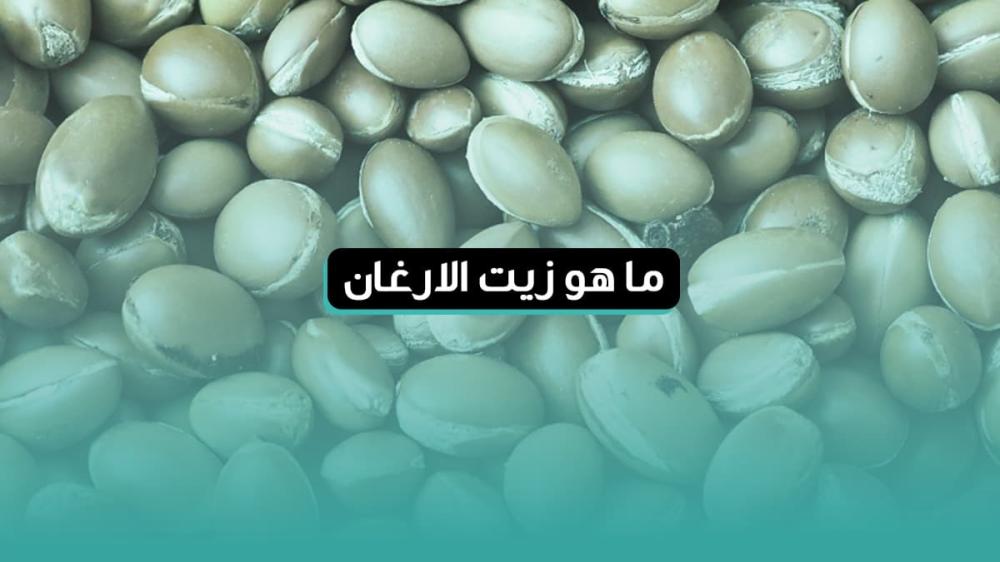 فوائد زيت الأرغان العضوي للشعر