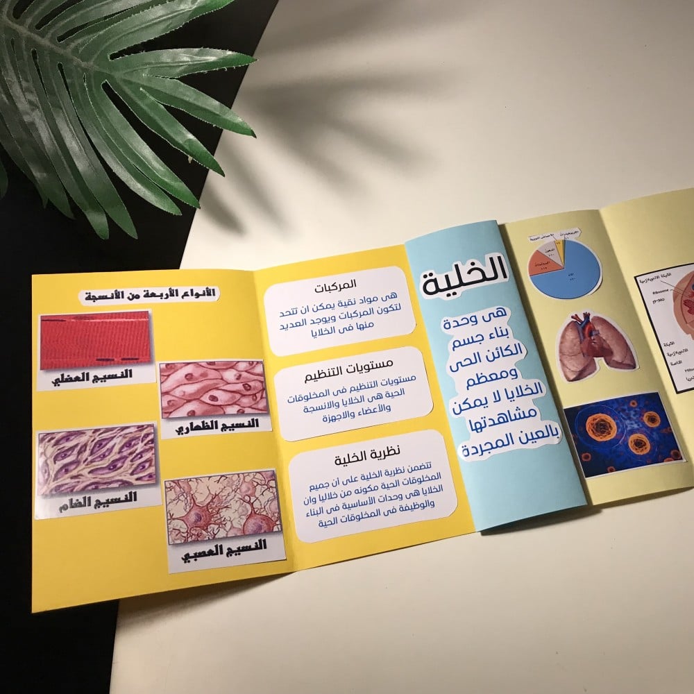 مطوية نظرية الخلية