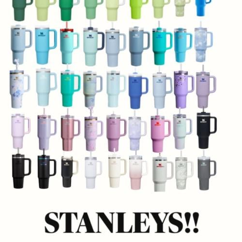 مق ستانلي - Stanley Mug