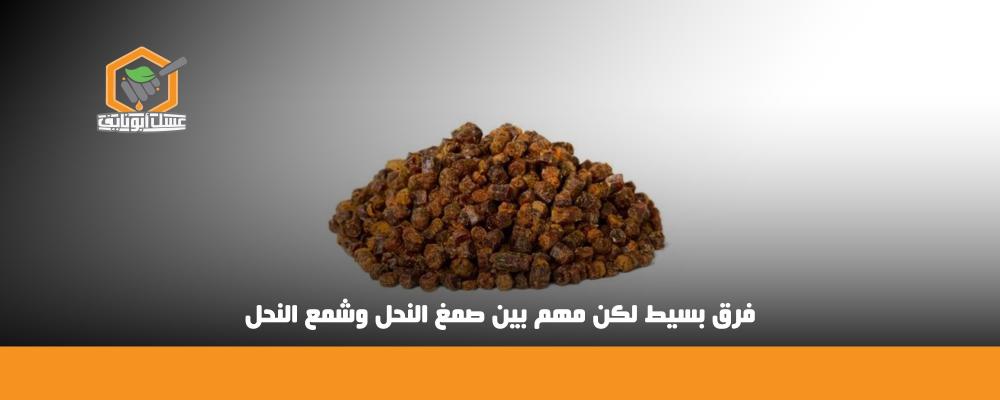 الفرق بين صمغ النحل وشمع النحل