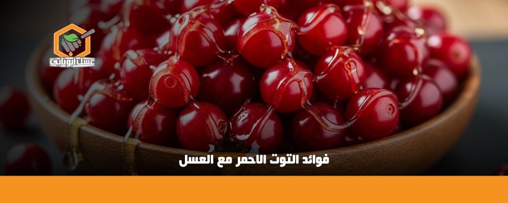 فوائد التوت الاحمر مع العسل