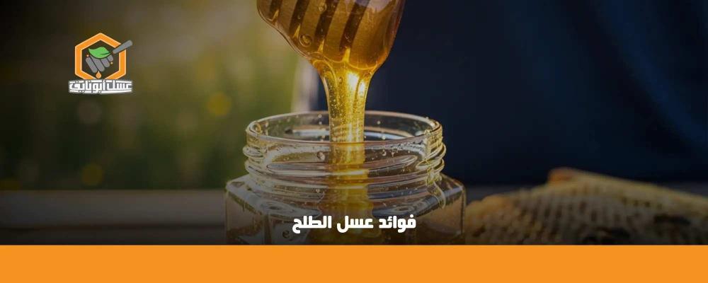 فوائد عسل الطلح