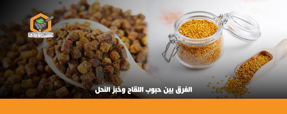 الفرق بين حبوب اللقاح وخبز النحل