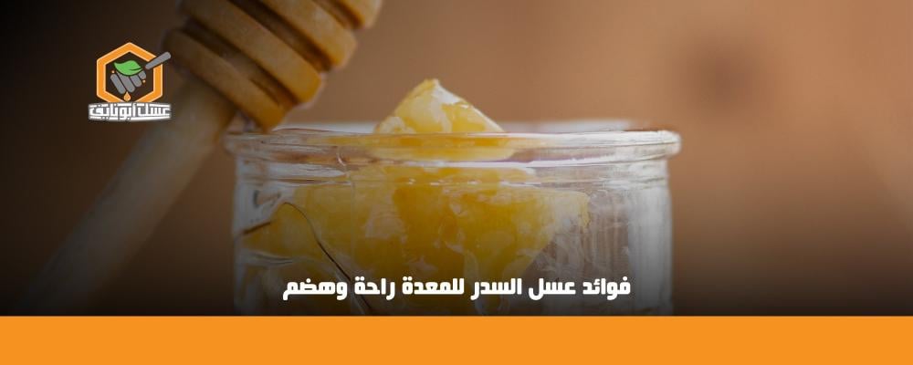 فوائد عسل السدر للمعدة