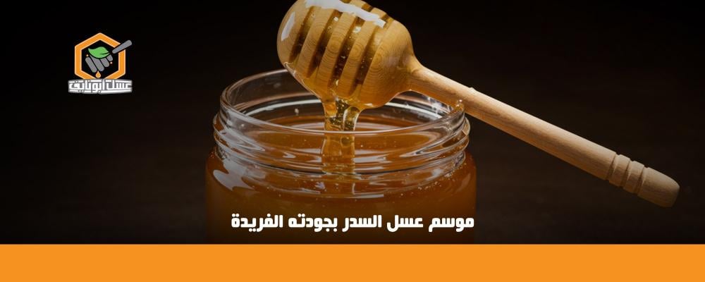 موسم عسل السدر