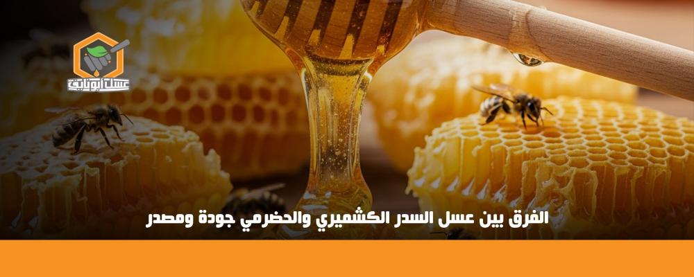 الفرق بين عسل السدر الكشميري والحضرمي