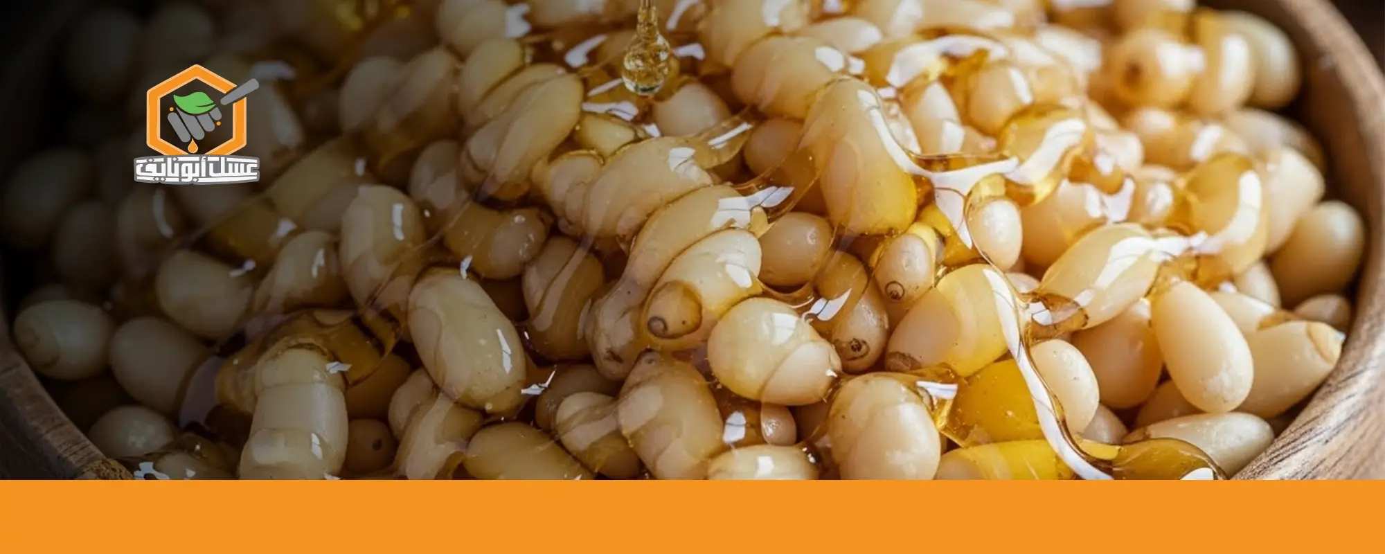 فوائد عسل الصنوبر للاطفال