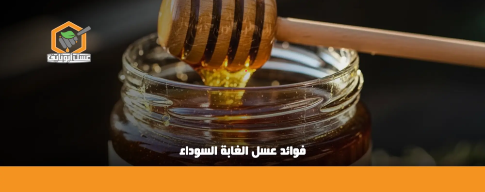 لماذا يتصدر عسل الغابة السوداء قائمة العسل الصحي 2026؟