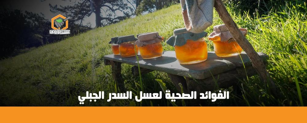عسل السدر الجبلي