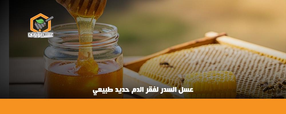 عسل السدر لفقر الدم