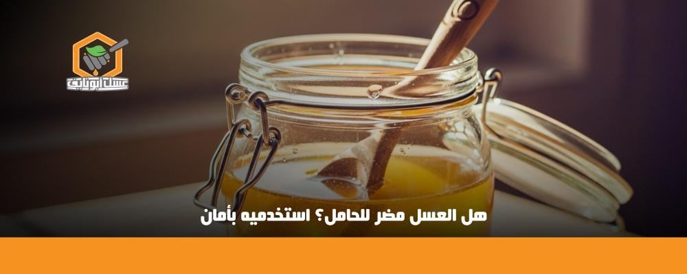 هل العسل مضر للحامل