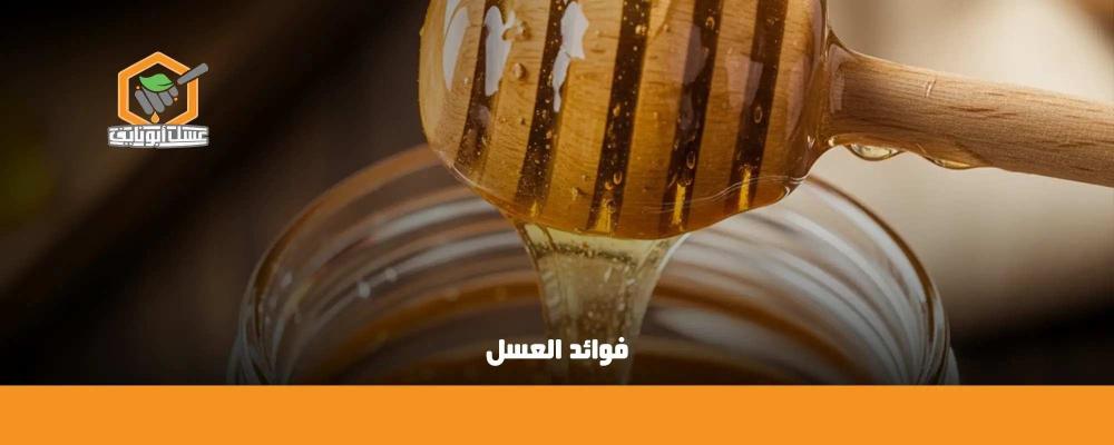 فوائد العسل