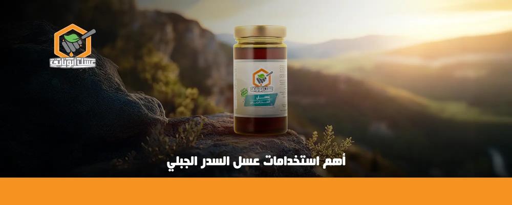 كيف تحقق أكبر استفادة من استخدامات عسل السدر؟