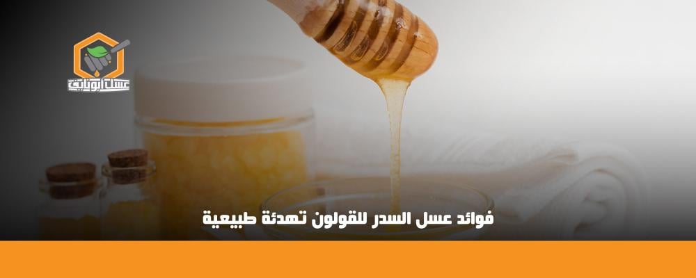 فوائد عسل السدر للقولون