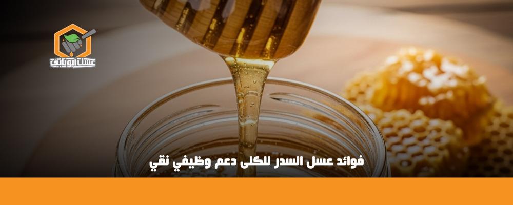 فوائد عسل السدر للكلى