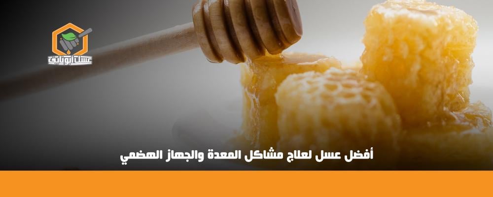 أفضل عسل للمعدة والقولون