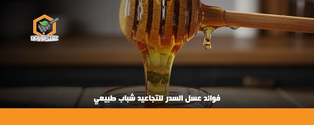 فوائد عسل السدر للتجاعيد
