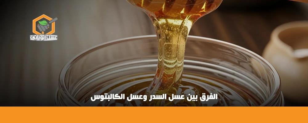 الفرق بين عسل السدر وعسل الكالبتوس