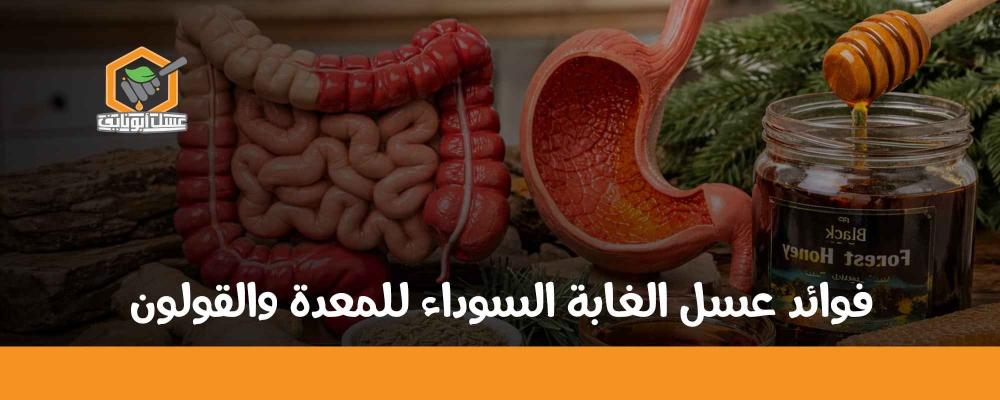 فوائد عسل الغابة السوداء للمعدة والقولون