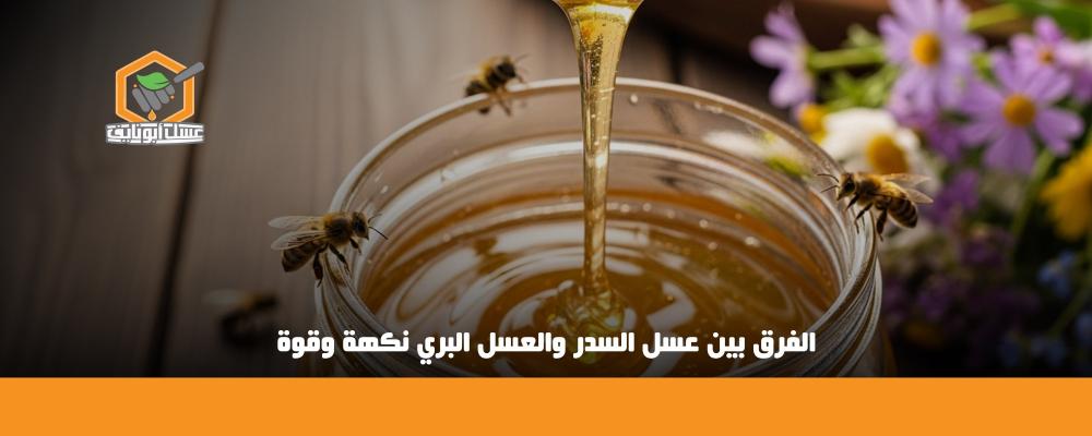 الفرق بين عسل السدر والعسل البري