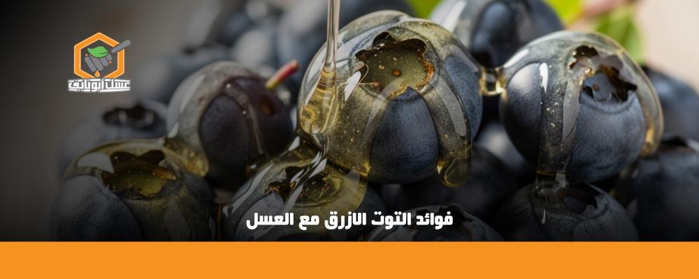 فوائد التوت الازرق مع العسل