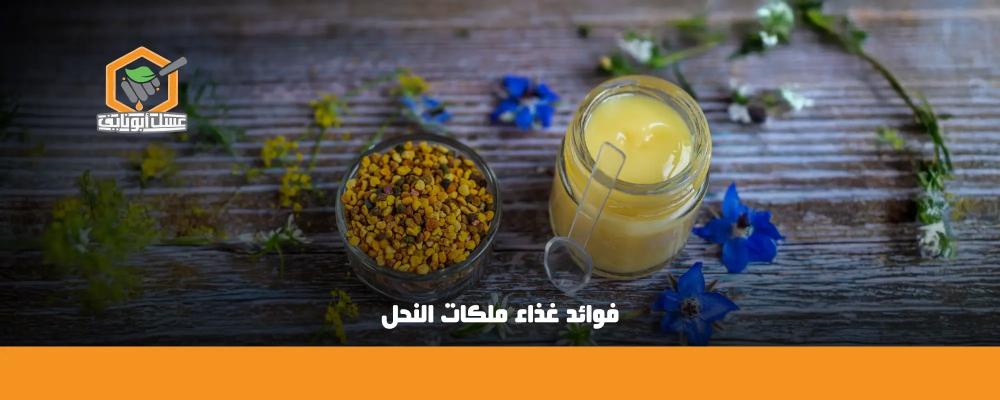 افضل نوع غذاء ملكات النحل