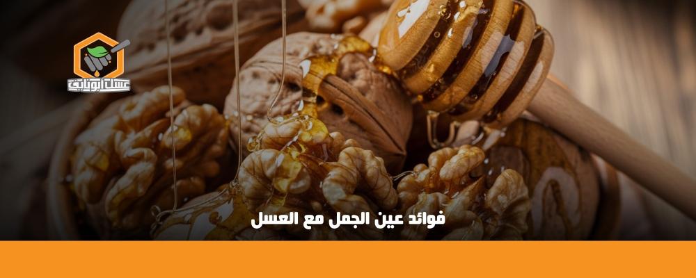 فوائد عين الجمل مع العسل