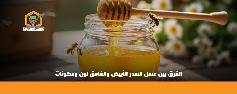 الفرق بين عسل السدر الأبيض والغامق