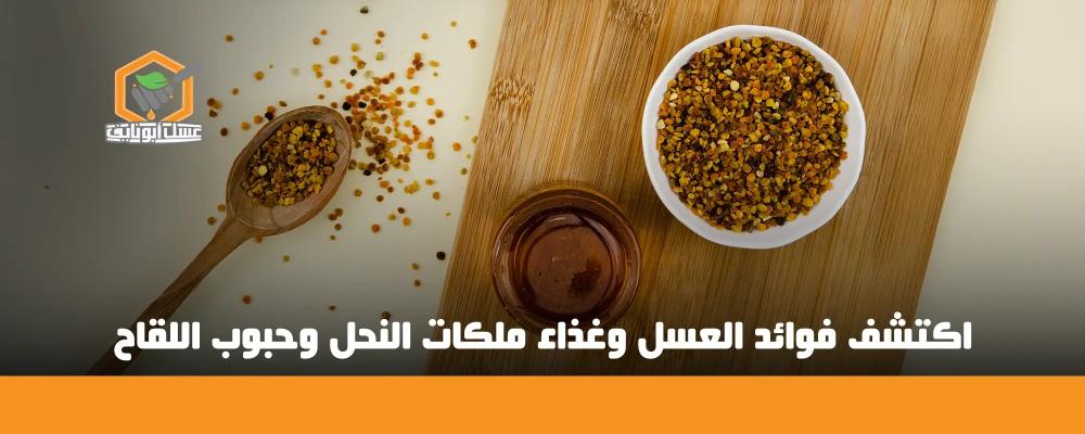 فوائد خلطة العسل وغذاء الملكات وحبوب اللقاح