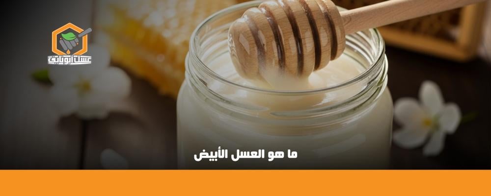 ما هو العسل الأبيض