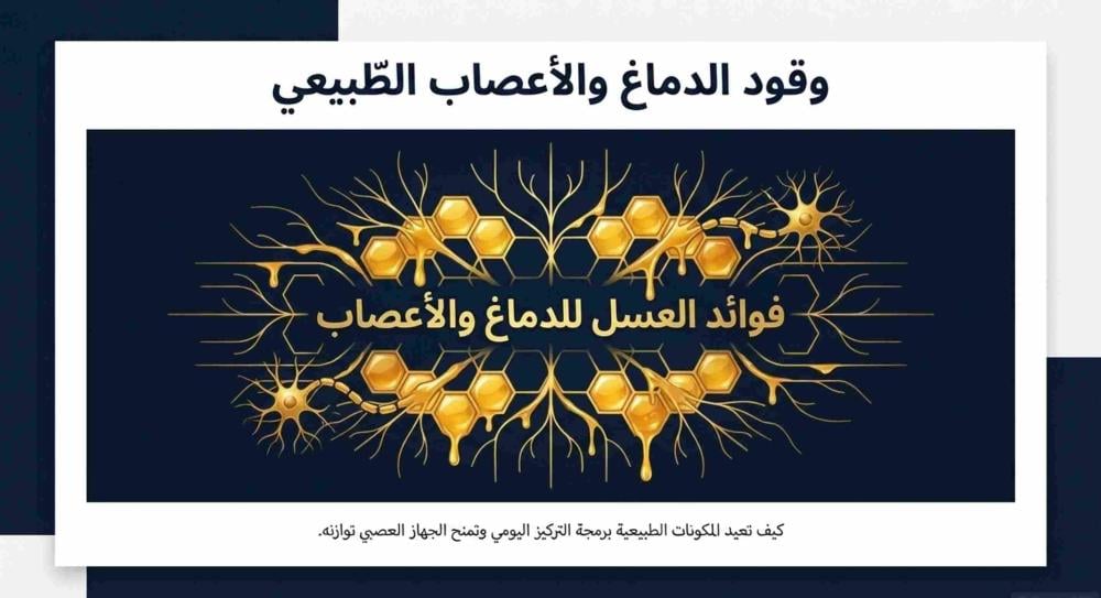 فوائد العسل للدماغ والأعصاب