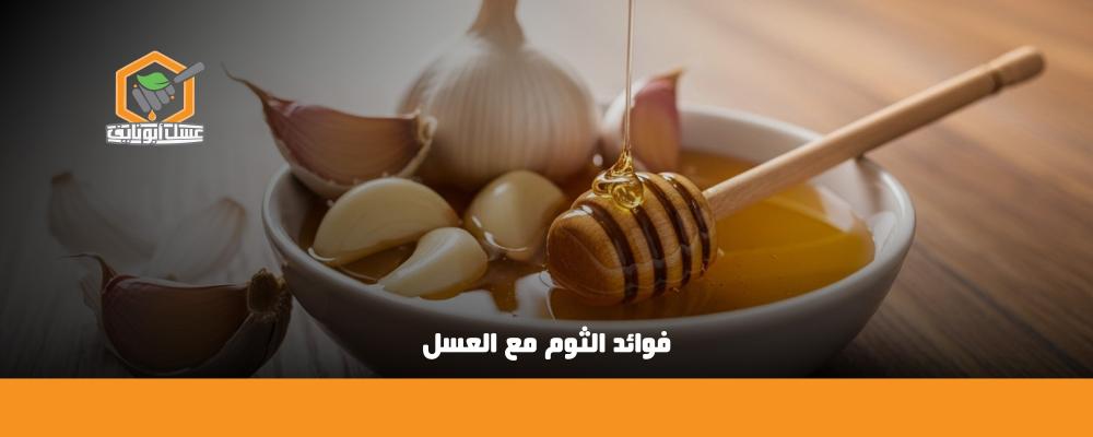 فوائد الثوم مع العسل