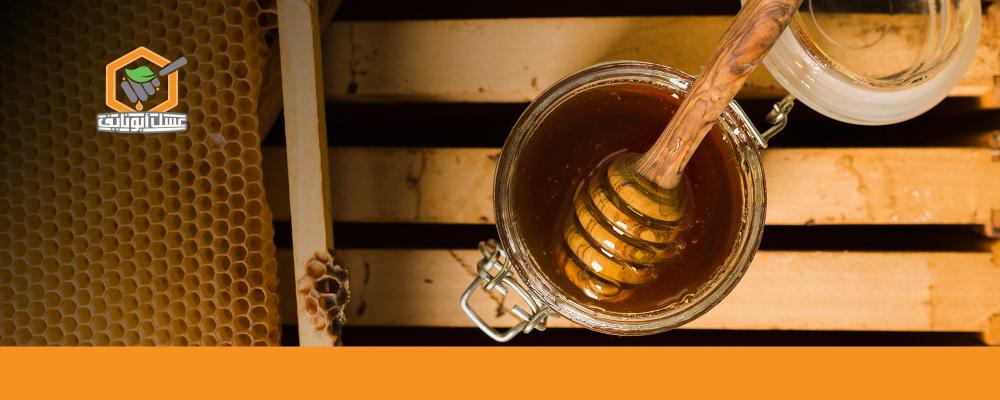 فوائد عسل الشوكيات للرجال والنساء