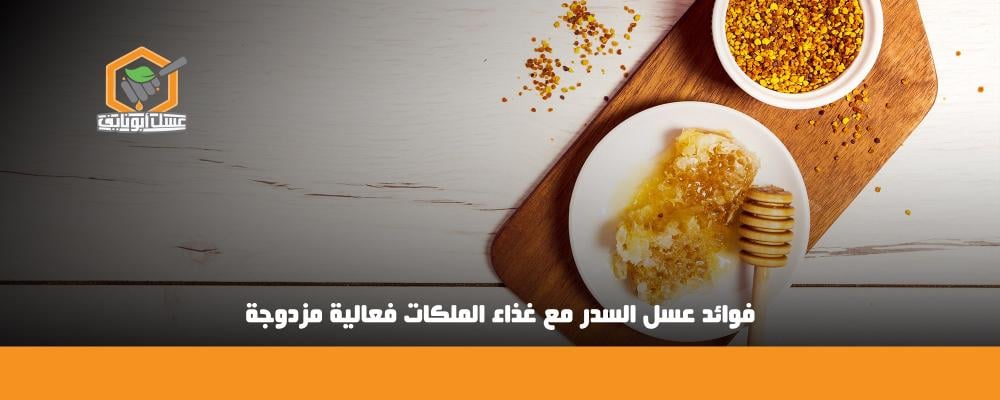 فوائد عسل السدر مع غذاء الملكات