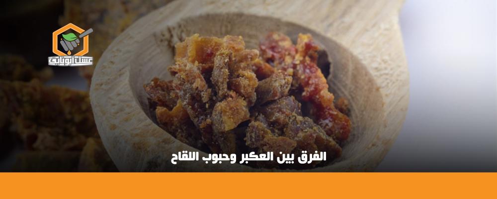 الفرق بين العكبر وحبوب اللقاح