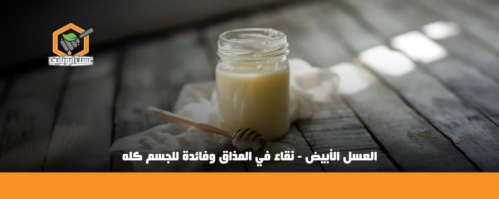 فوائد العسل الأبيض