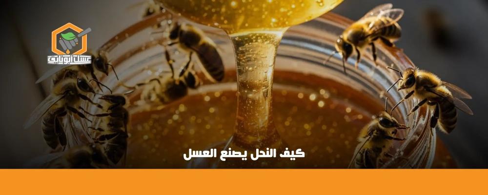 كيف النحل يصنع العسل