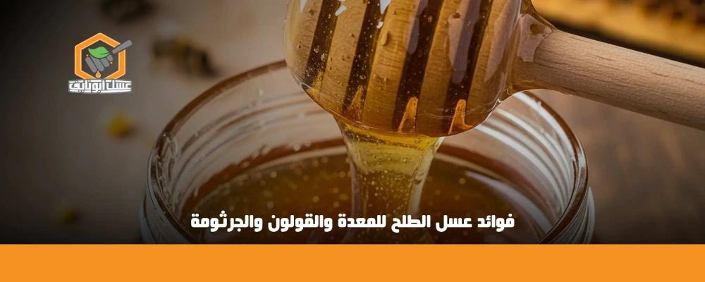 فوائد عسل الطلح للمعدة والقولون والجرثومة