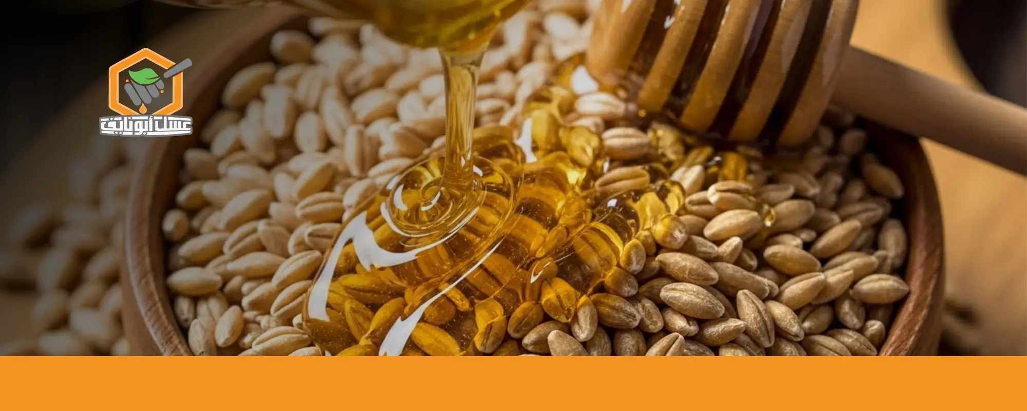 فوائد شرب الشعير على الريق