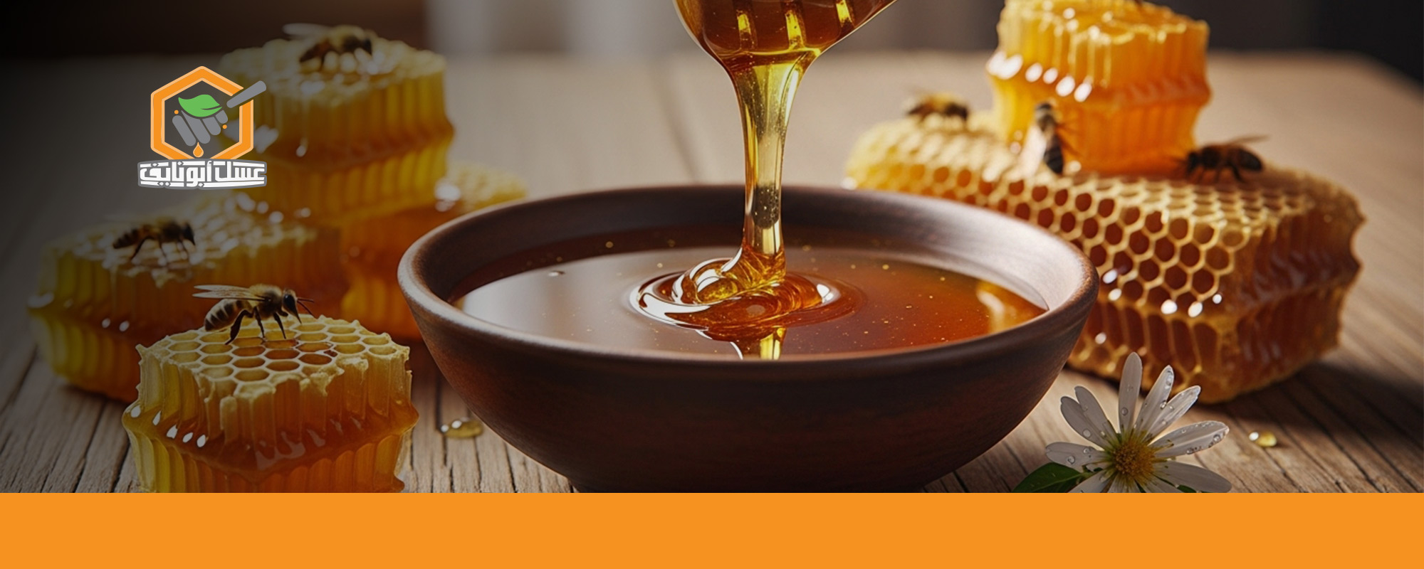 تجربتي مع عسل الأكاسيا